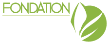 footer-logo